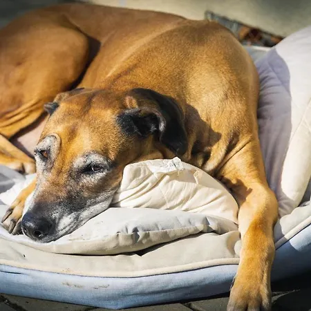 Am Osterberg Lägenhet Quedlinburg