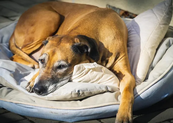 Am Osterberg Lägenhet Quedlinburg